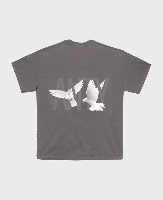 CAMISETA ANTY DOVE GREY